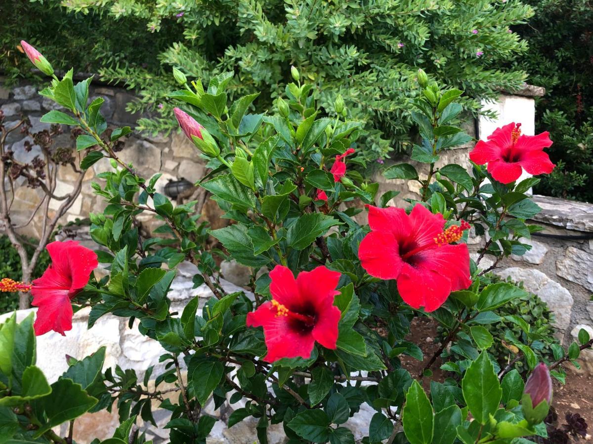 גאיוס Villa Avgerini Paxos מראה חיצוני תמונה