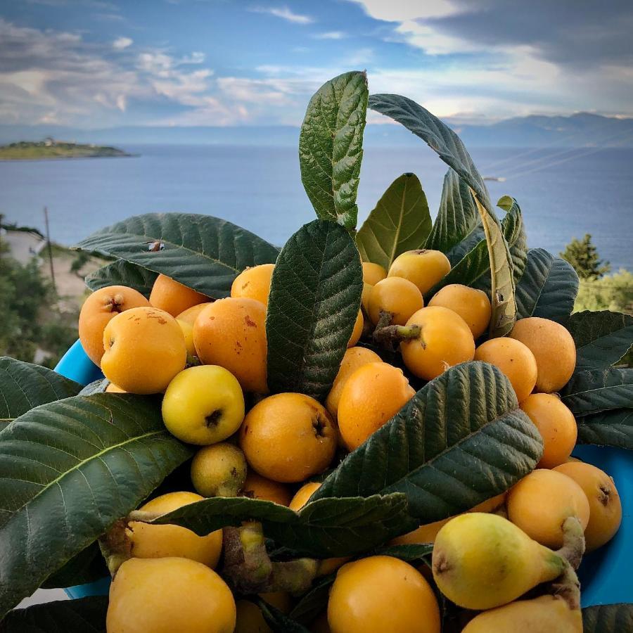 גאיוס Villa Avgerini Paxos מראה חיצוני תמונה