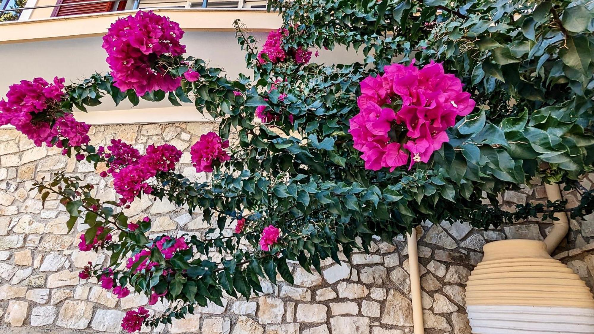 גאיוס Villa Avgerini Paxos מראה חיצוני תמונה